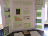 Science Fair 011